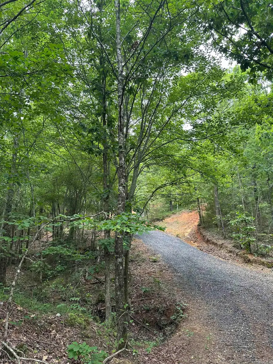 TBD Timber Ln, Mena, AR 71953 - Image #2