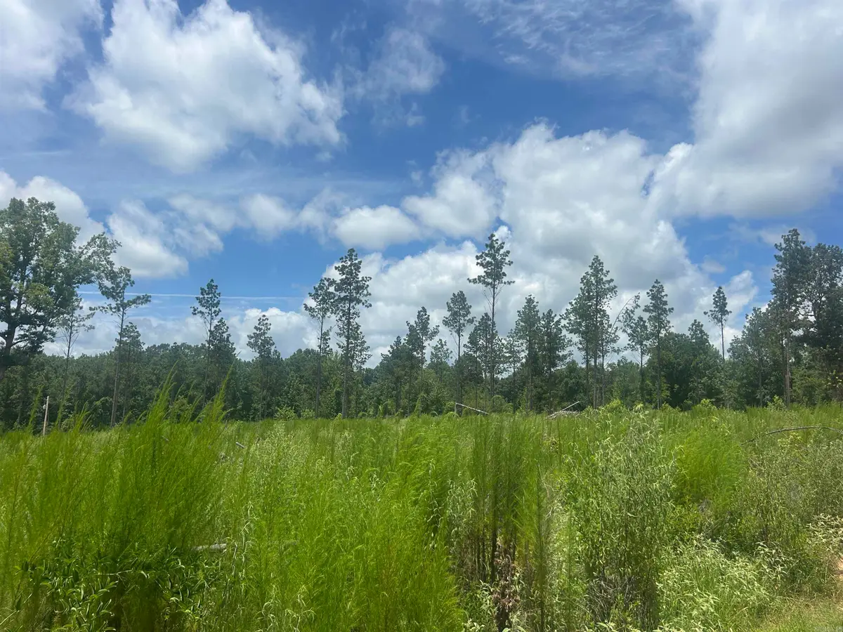 0 Grant 433, Sheridan, AR 72150 - #1