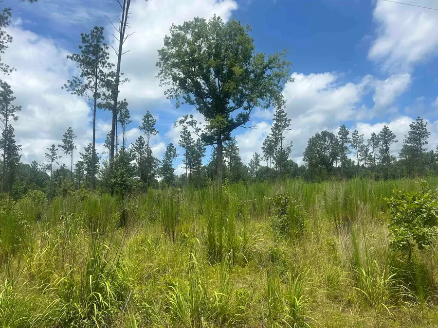 0 Grant 433, Sheridan, AR 72150 - #2