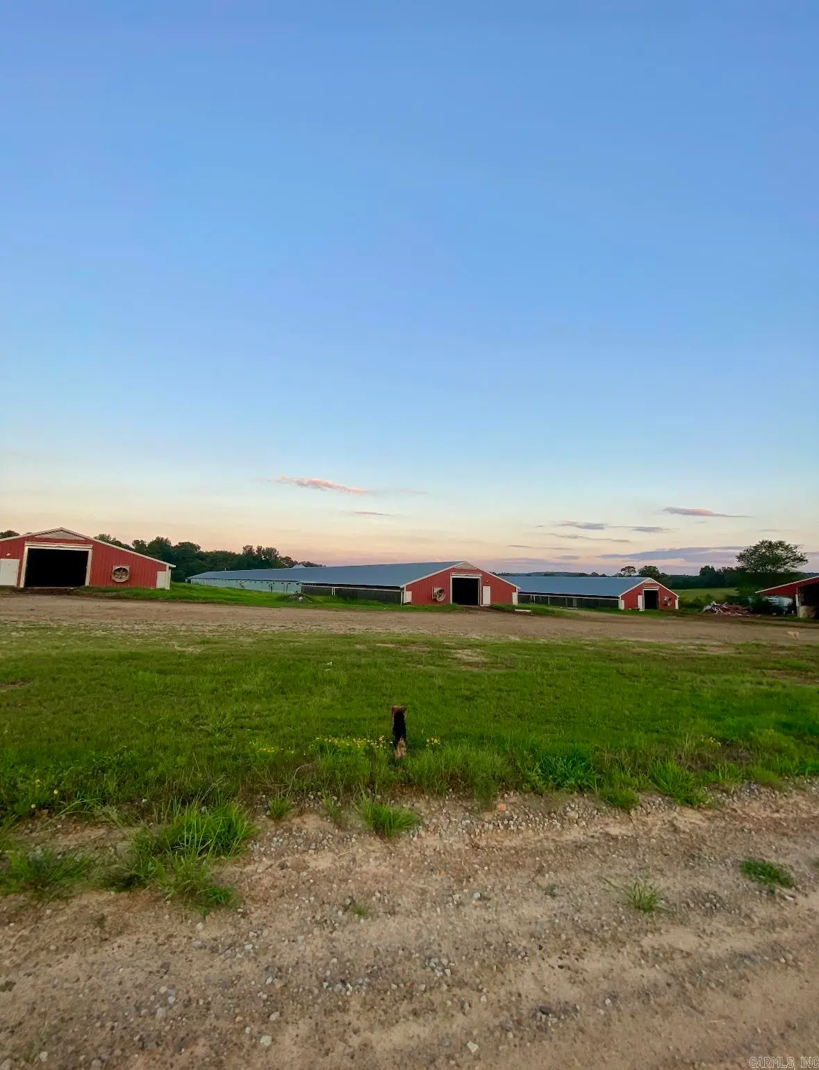 000 County Road 3335, Clarksville, AR 72830 - Image #1