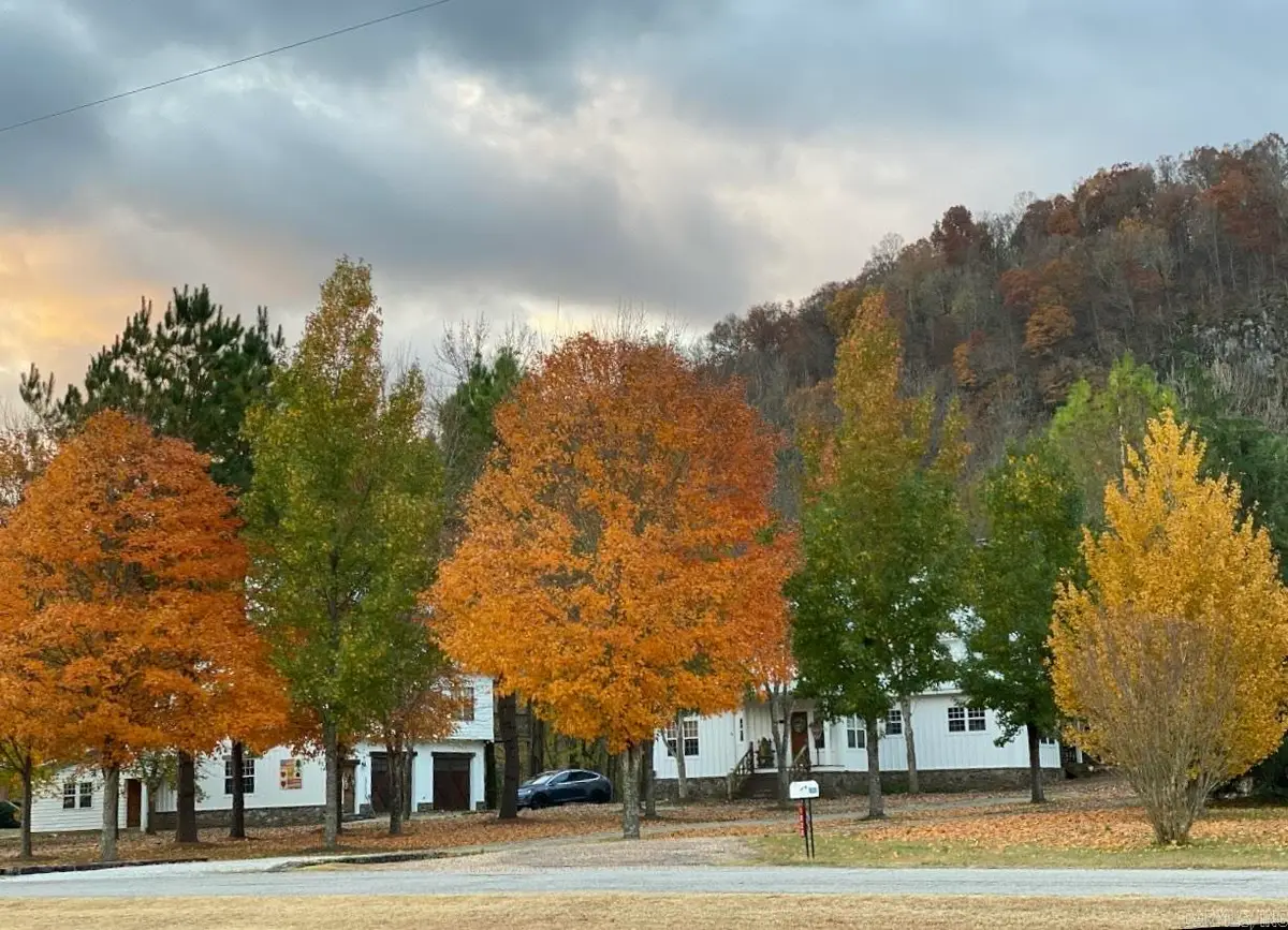 1040/1056 S Riverview, Mountain View, AR 72560 - Image #1