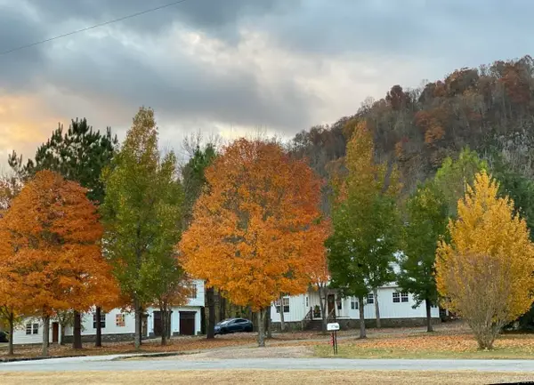 1040/1056 S Riverview, Mountain View, AR 72560