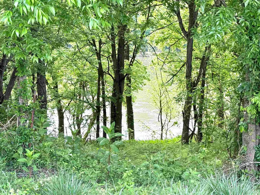 21 Allure Lane, Mountain View, AR 72560 - Image #3