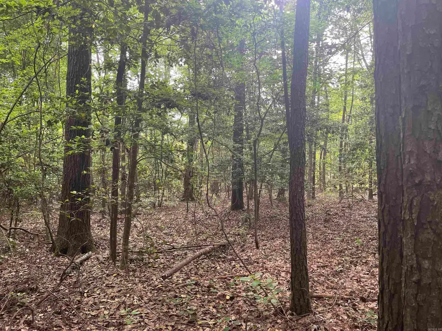 Address Withheld By Seller, Rosston, AR 71858 - Image #3