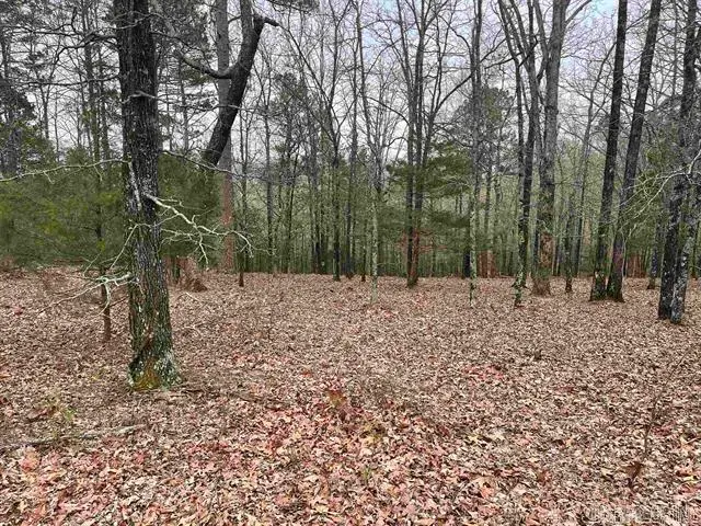 Lot 4 Diamond Bluff Road, Quitman, AR 72131 - Image #1