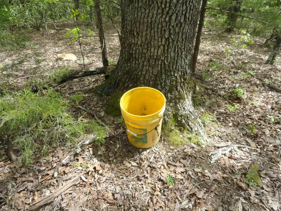 935 Standing Alone Road, Leslie, AR 72645 - Image #2