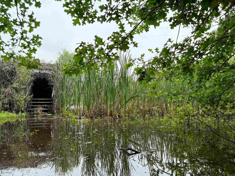 Address Withheld By Seller, Earle, AR 72331 - Image #2