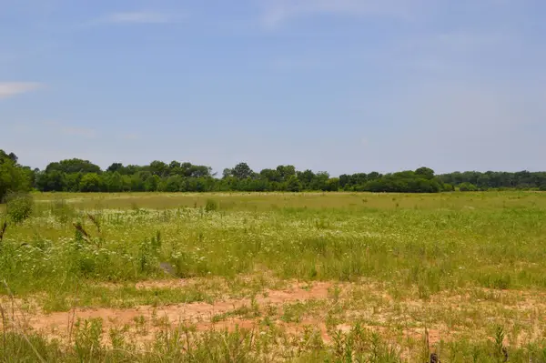 40 Acres, Fisher, AR 72429
