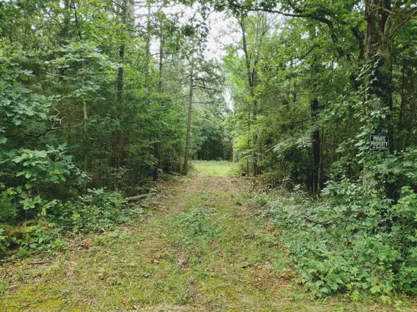 0 Little Pond Rd, Mountain View, AR 72560