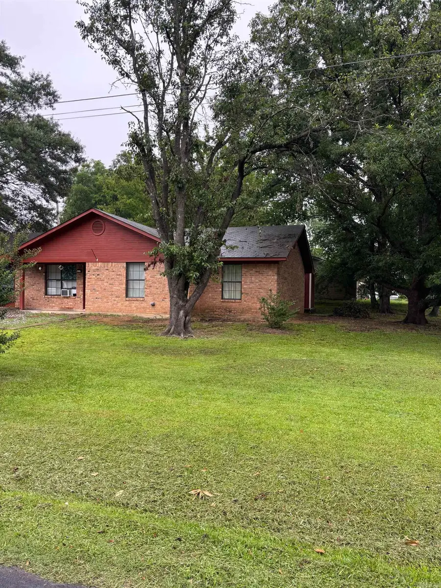 320 S Lewis Street, Mineral Springs, AR 71851 - Image #2