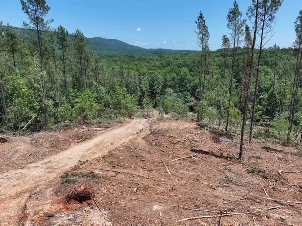 XXX Palmer Mountain Road, Caddo Gap, AR 71935