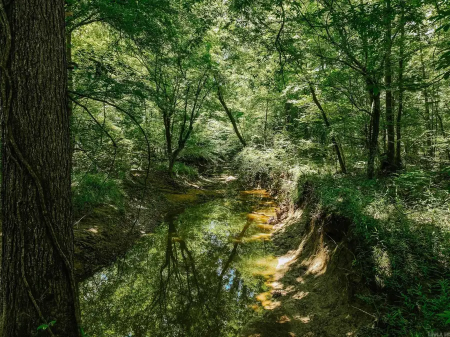 Address Withheld By Seller, Monticello, AR 71655 - Image #2