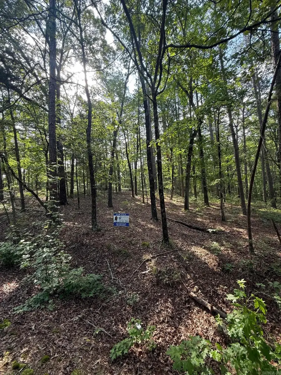 TBD Almansa Lane, Hot Springs Village, AR 71909 - Image #2