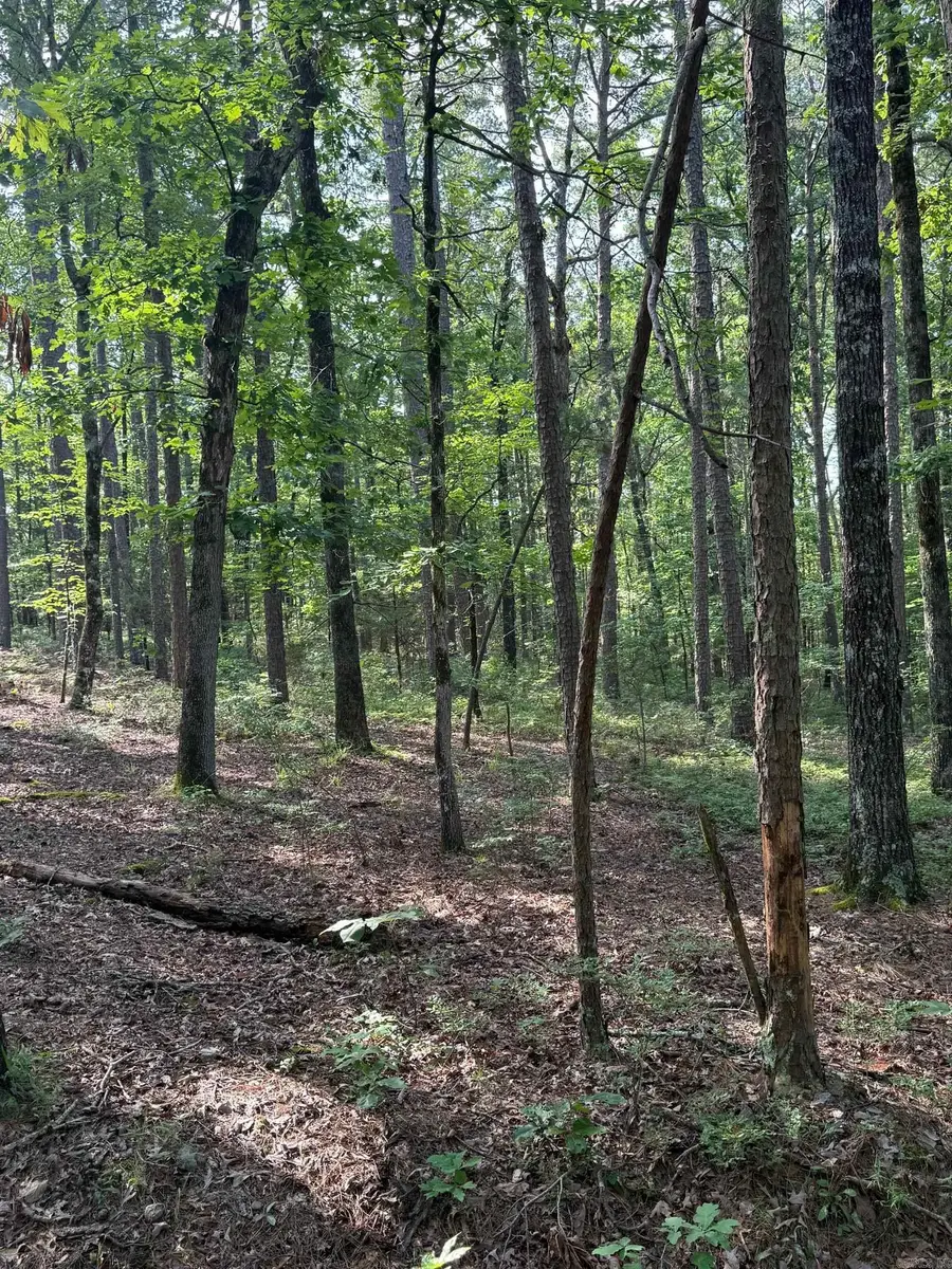 TBD Almansa Lane, Hot Springs Village, AR 71909 - Image #3