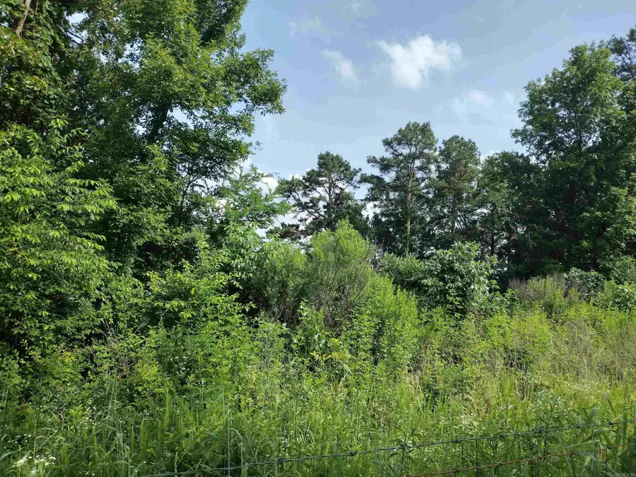 0 Greers Ferry Road, Greers Ferry, AR 72067 - Image #2