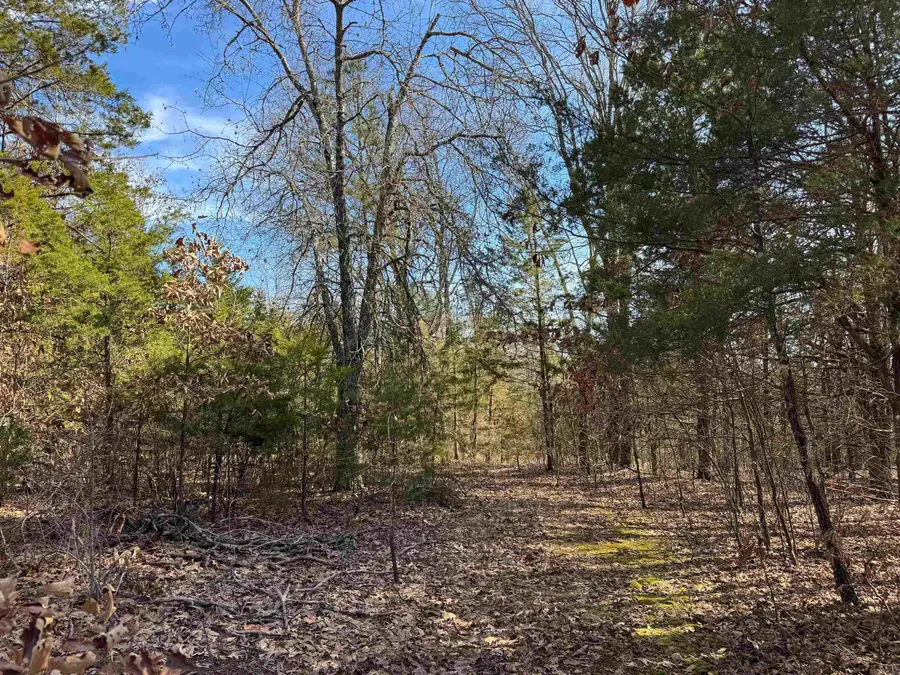 181 Old Springfield Road, Quitman, AR 72131 - Image #2