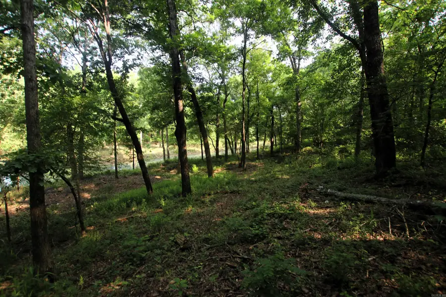 000 Drivers Creek Lane, Scotland, AR 72141 - Image #2