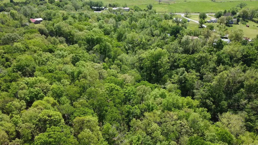 113 Blake Street, Marshall, AR 72650 - Image #3