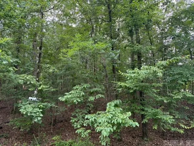 2 Brilliante Trce Trace, Hot Springs Village, AR 71909 - Image #2