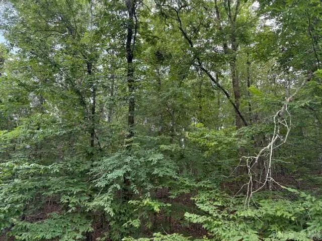 2 Brilliante Trce Trace, Hot Springs Village, AR 71909 - Image #3