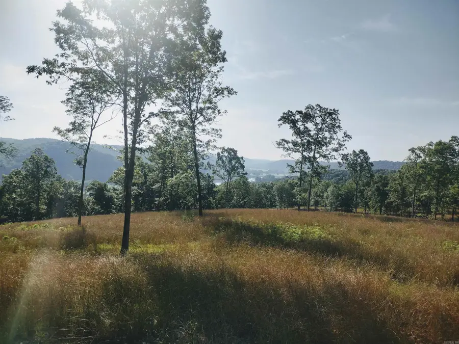 0 Burten Hill Road, Mountain View, AR 72560 - Image #2