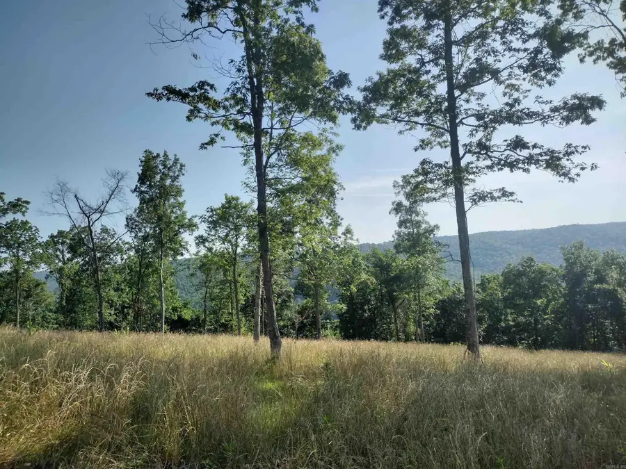 0 Burten Hill Road, Mountain View, AR 72560 - Image #3