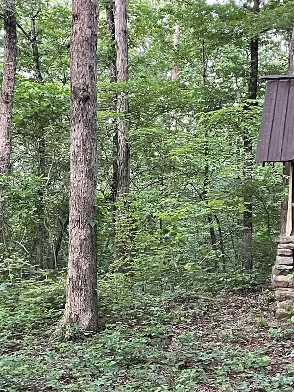 868 Watson, Clinton, AR 72031