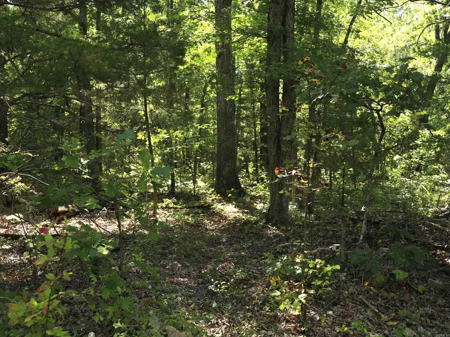 602 Catbird Circle, Horseshoe Bend, AR 72512 - Image #2