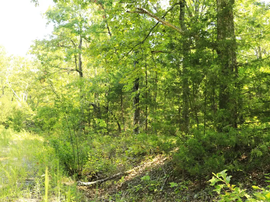 602 Catbird Circle, Horseshoe Bend, AR 72512 - Image #3