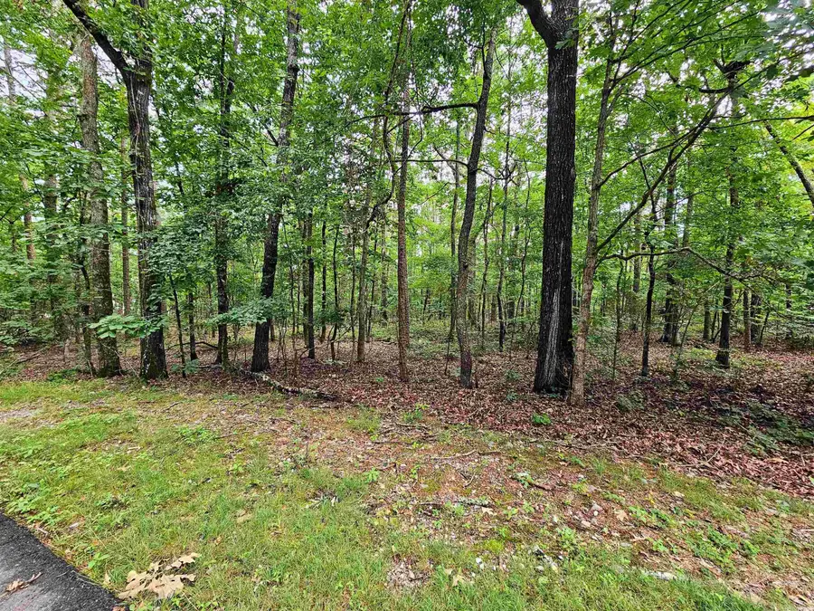 11 Paella Lane, Hot Springs Village, AR 71909 - Image #2