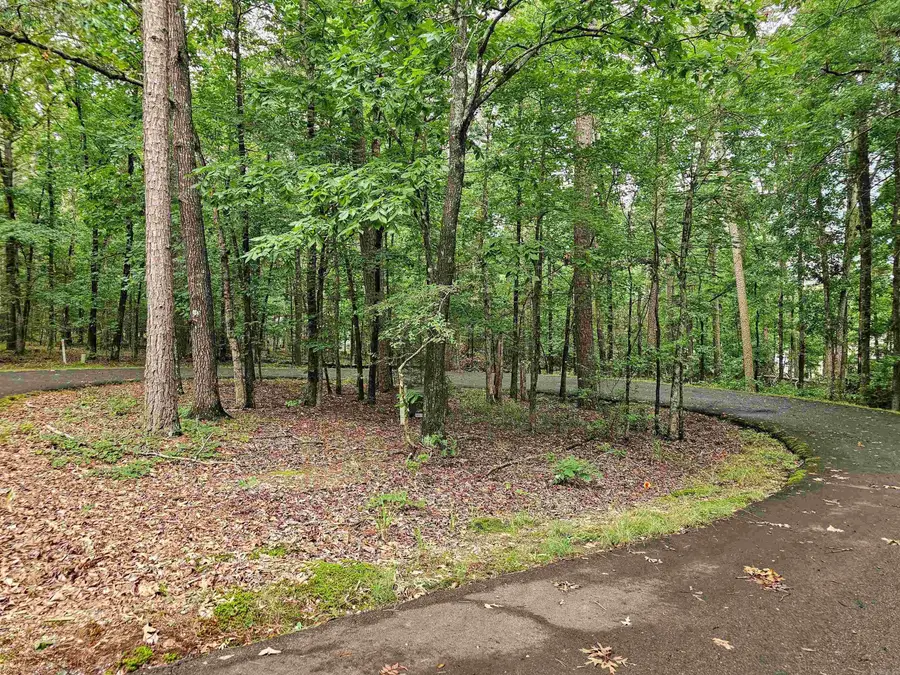 10 Paella Lane, Hot Springs Village, AR 71909 - Image #3