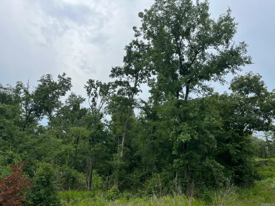 TBD Shouse Ford Road, Bismarck, AR 71929 - Image #2