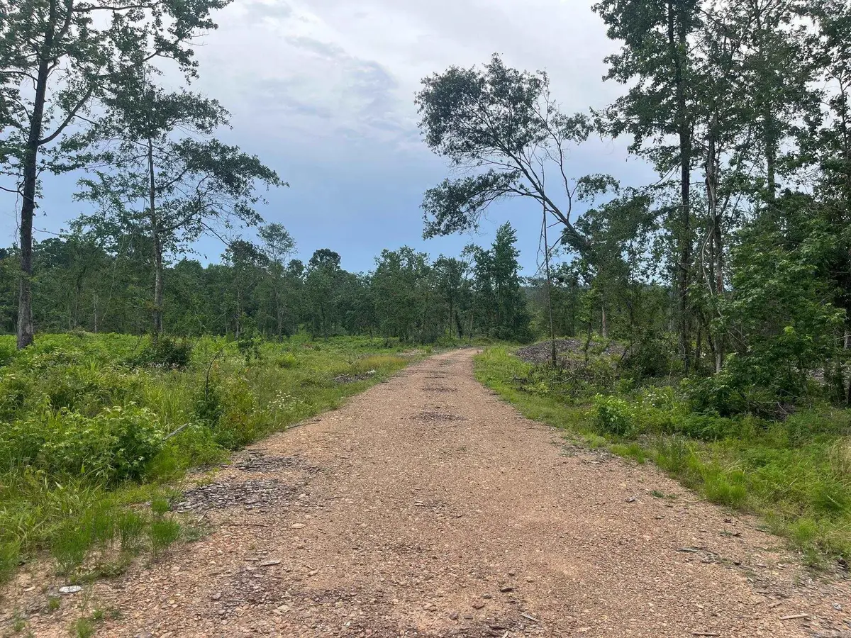 TBD Hwy 84, Bismarck, AR 71929 - Image #1