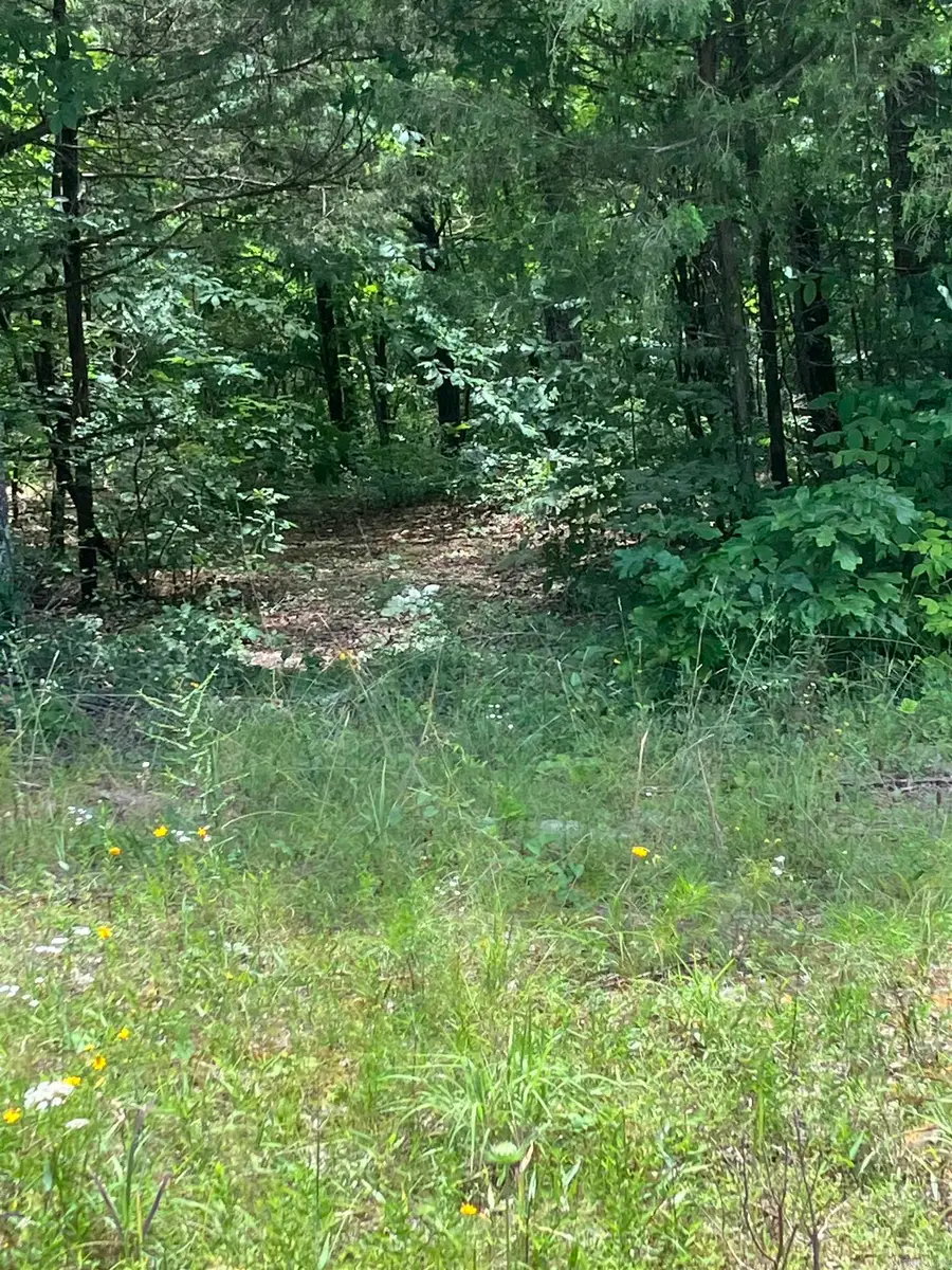 Lot 135 Jct Mission & Brimmer, Greers Ferry, AR 72067 - Image #2