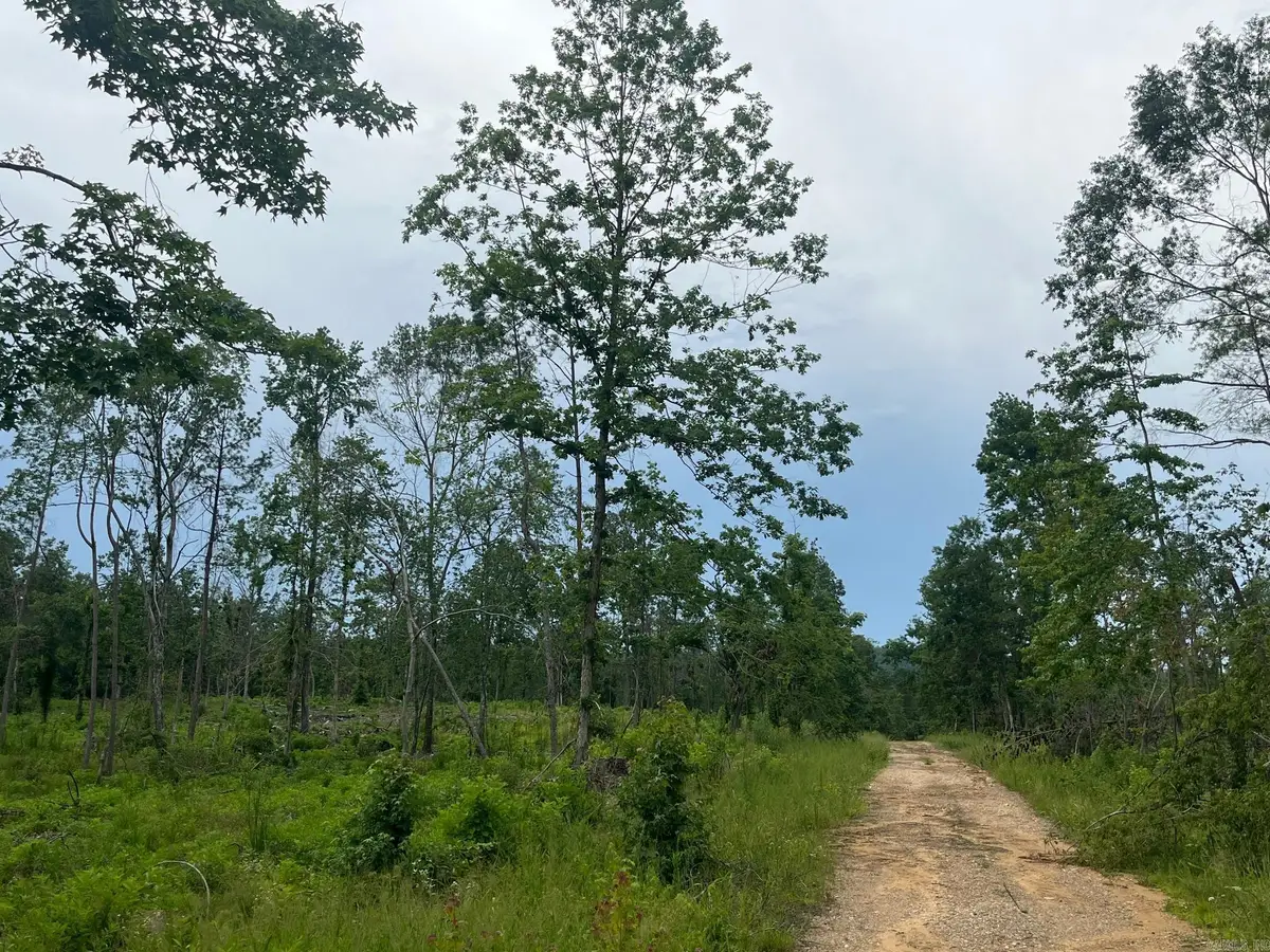 TBD Hwy 84, Bismarck, AR 71929 - Image #1