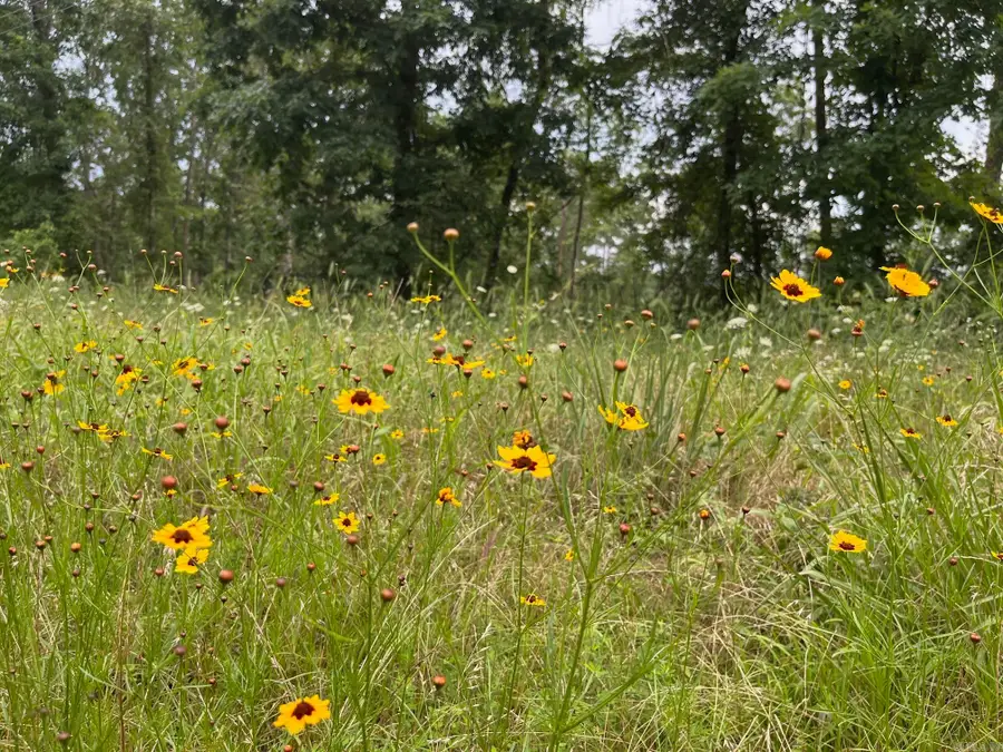 TBD Hwy 84, Amity, AR 71921 - Image #2