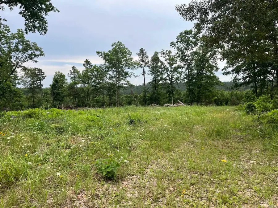 TBD Hwy 84, Amity, AR 71921 - Image #3