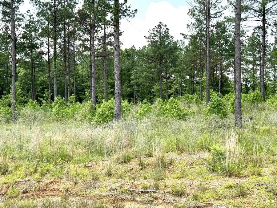 lot 16 Grant County Road 761, Sheridan, AR 72150 - Image #2