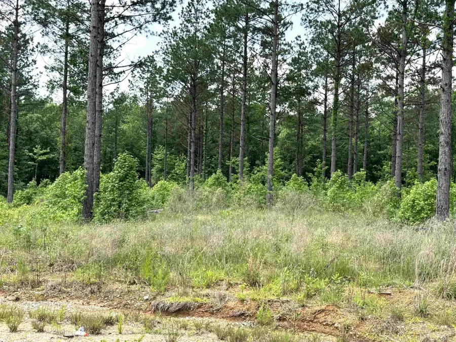 lot 16 Grant County Road 761, Sheridan, AR 72150 - Image #3