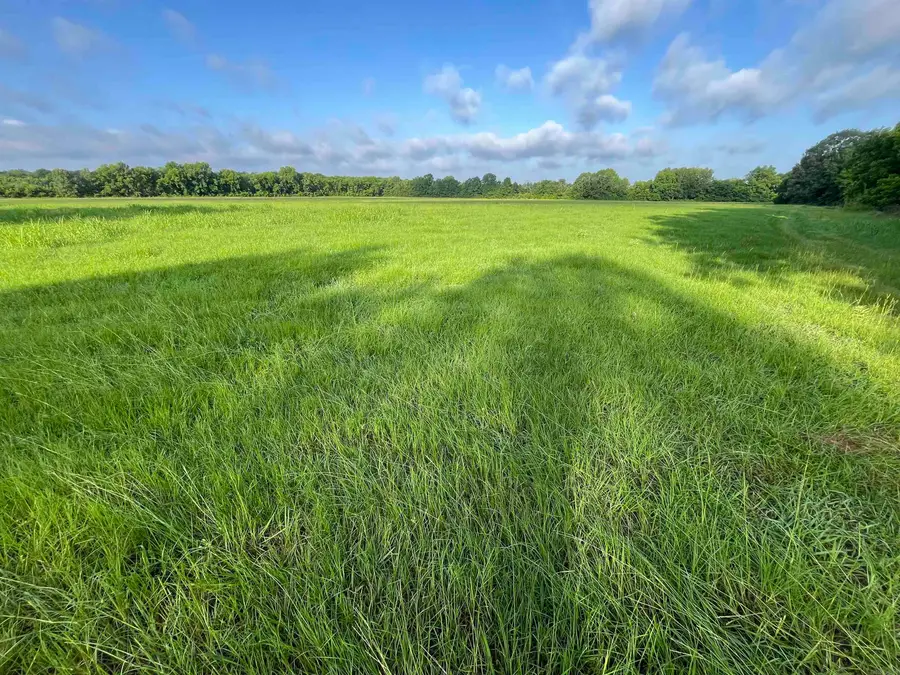 Address Withheld By Seller, Lockesburg, AR 71846 - Image #3