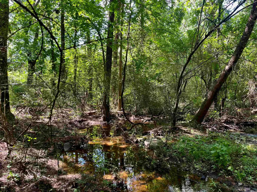 Address Withheld By Seller, Heber Springs, AR 72543 - Image #3