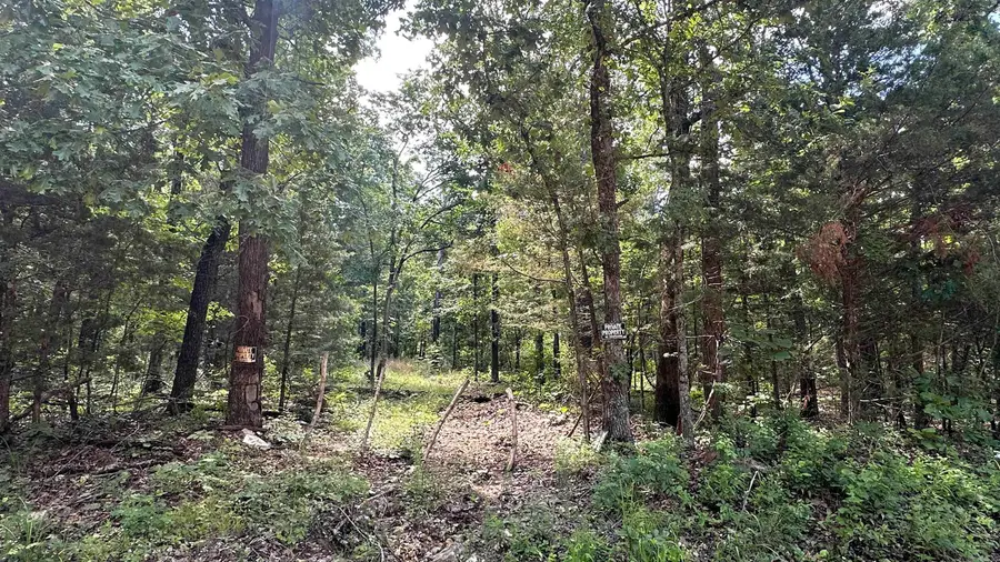 Address Withheld By Seller, Ash Flat, AR 72513 - Image #2