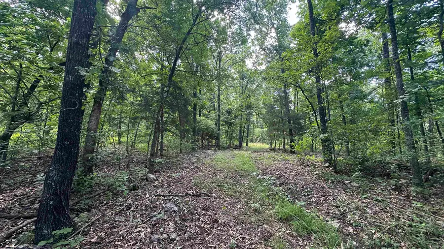 Address Withheld By Seller, Ash Flat, AR 72513 - Image #3