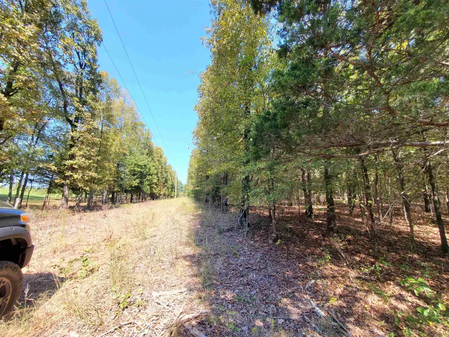 176 Double G Farm Road, Romance, AR 72136 - Image #3