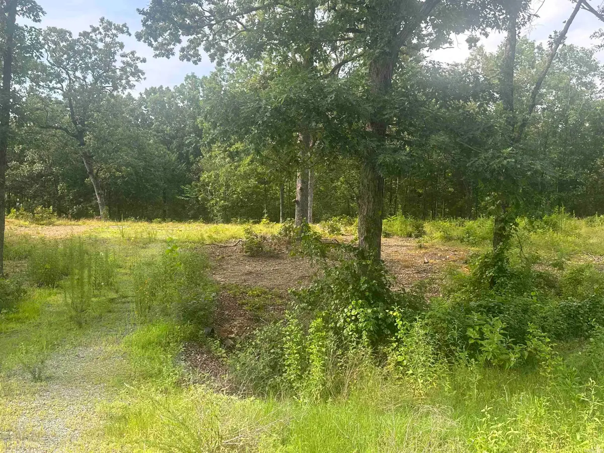 Lot 99 Vernon Court, Cabot, AR 72023 - Image #1