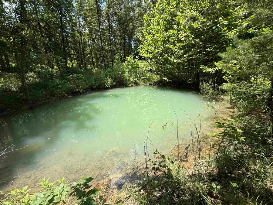 2061A Chapel Hill Road, Brockwell, AR 72517 - Image #2