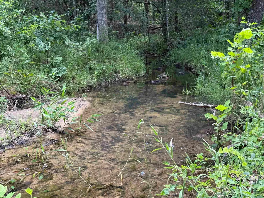 2061A Chapel Hill Road, Brockwell, AR 72517 - Image #3