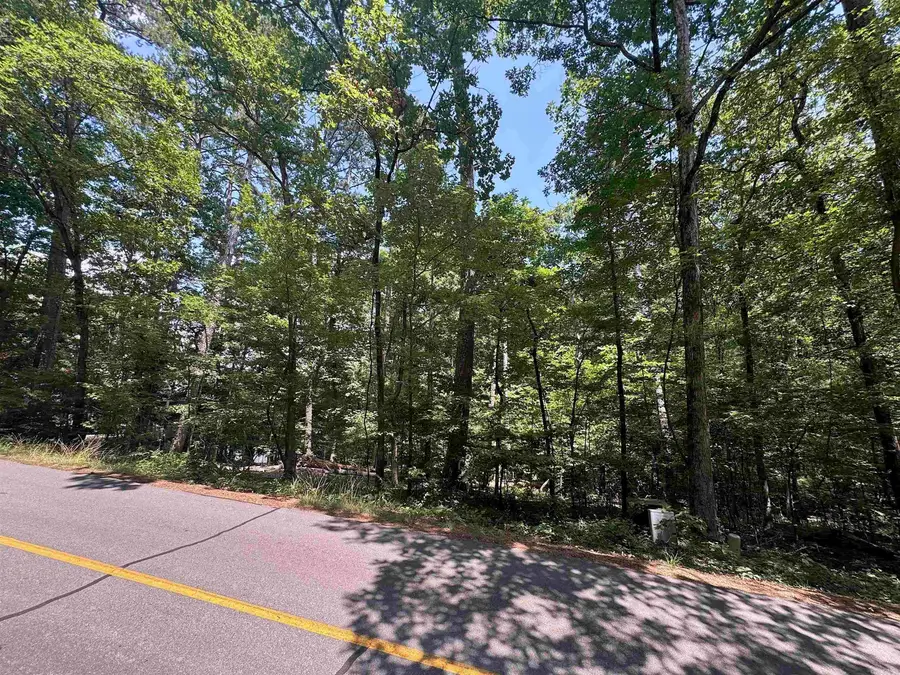 100 Arjona Way, Hot Springs Village, AR 71909 - Image #3