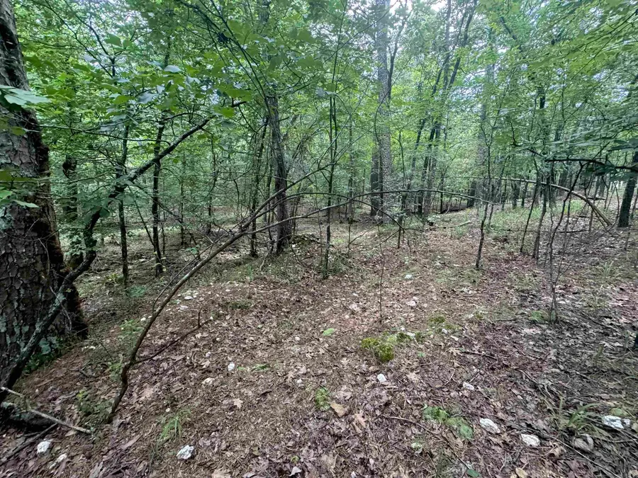 00 Humberto Way, Hot Springs Village, AR 71909 - Image #2