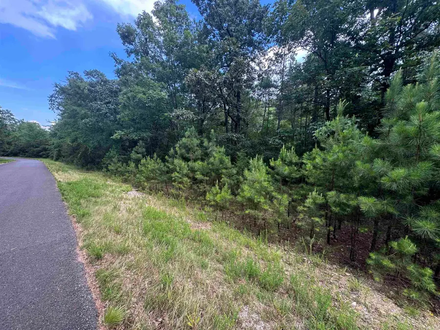 00 Humberto Way, Hot Springs Village, AR 71909 - Image #3